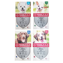 Bye-flattering pet puppies in vitro Insect Repellent FLEA TICKS TEDI GOLD HAIR INSECT REPELLENT WHOLE BOX 4 PACKS