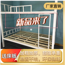 Minima Modern Economy Type Metal Guardrails Bunk Bed Up And Down Bunk Bed Students High And Low Bed Apartment Bed Frame Planks