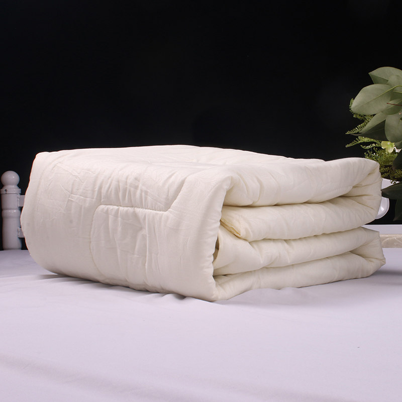 Thickened portable adult children winter single quilt core quilt liner sleeping bag accessories assorted with