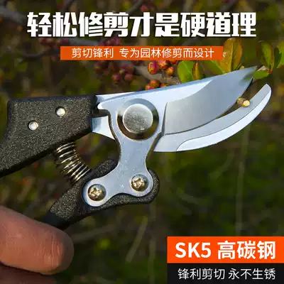 Taiwan imported pruning shears, garden pruning branch scissors, gardening branches, fruit trees, garden seedlings, household coarse branch scissors