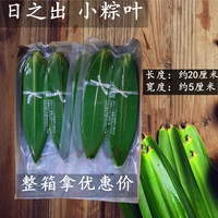 Zongzi Lease 100 кусочков свежего зеленого бамбукового листья листьев листьев