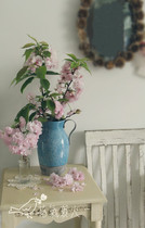 A variety of wrought iron binaural ceramic vases hydroponic flower pots retro home gardening garden groceries foreign trade orphans