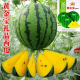 Золотое сокровище семена арбуза зеленая кожа желтое сердце арбуз кожа кожа