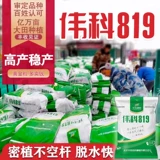 Оригинальные качественные семена кукурузы Weike 819 устойчивы к густой посадке и не перехватывают участки. Устойчив к болезням, устойчив к южной ржавчине и бактериальному увяданию.