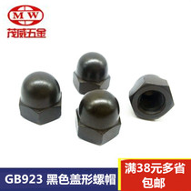 GB923 black lid nut cap decoration nut cap M4 M5 M6 M8 M10 M12M16M20
