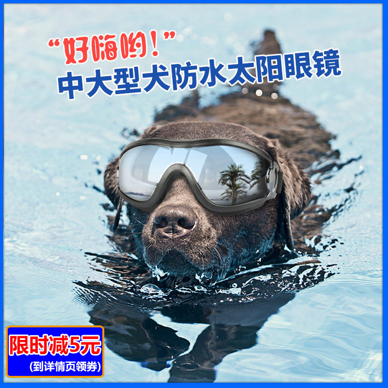 Pet glasses dog supplies goggles waterproof windproof sunscreen UV glasses medium and large dog glasses