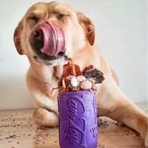 Pull can leakage toy American Sodapup imported rubber bite-resistant Shiba Inu Corgi dog bite rubber cats and dogs are healthy and slow