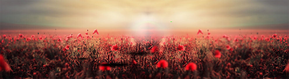 Pantalon pyjama - Ref 730486 Image 7