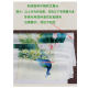 Suzhou embroidery handmade diy kit mantis cat ຊຸດອຸປະກອນການຖັກແສ່ວສໍາລັບຜູ້ເລີ່ມຕົ້ນຕົນເອງ embroidery ນັກສຶກສາສິລະປະຫ້ອງຮຽນ