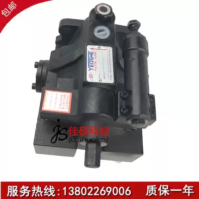 V11 A2 A3 A4R10X oil liter Yeshe variable pump plunger pump injection molding machine die casting machine pump pressure oil pump