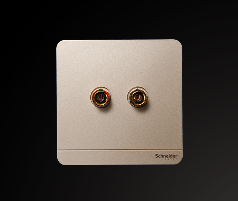 Schneider Electric switch socket single-link two-hole sound socket sound box weak electric panel with thin twilight