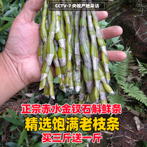 (Buy three get one free)Authentic Guizhou Chishui Nobile Dendrobium township 4 years fresh old strips 500 grams