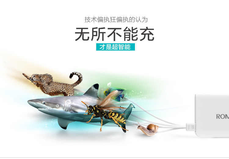 chargeur ROMOSS 3A - Ref 1299235 Image 5