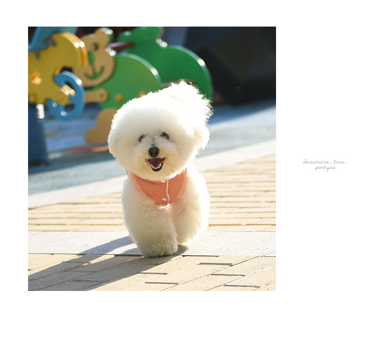 Quần áo chó con Quần áo mùa đông Quần cotton bốn chân dày Quần áo gấu hơn quần áo thú cưng Quần áo Xue Narui - Quần áo & phụ kiện thú cưng áo khoác cho chó