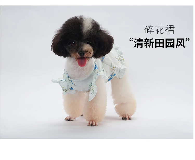 Quần áo trẻ em màu đen cotton mùa hè váy váy chó quần áo mùa xuân và quần áo mùa hè Teddy váy váy hoa - Quần áo & phụ kiện thú cưng quan ao thu cung