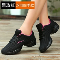 Black Meihong 【Double -Layer Network Four Seasons】