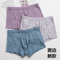 Full 2 pairs of Dolby Knight panties men sexy wide - edged regenerated fiber adhesive mid - autumn winter