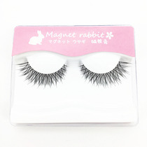 Magnetic Rabbit Customized Transparent Terrier Lolita messy Eyelash Extended False lash powder DX002