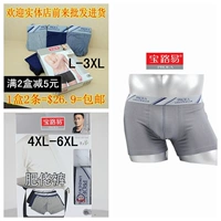 Proea Bao Luyi eo giữa trẻ trung, rắn rỏi màu sắc nam boxer cotton một lớp bốn chân chất béo đồ lót nam quần lot nữ