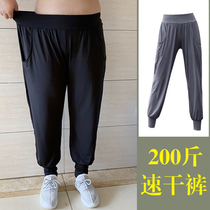 Large size yoga pants female fat mm200 catty stretch fitness pants dance pants casual sports pants loose running pants