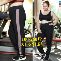 2021 summer large size fitness pants female yoga pants 200 pounds running casual pants training camp weight loss loose sports pants