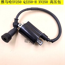 Prince Prince 250 QJ250 - H XV250 High Voltage Pack with high pressure cap