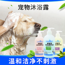 Cats and dog shower gel bath products White hair yellow brown special pet shampoo Lasting Fragrance Bath sterilization