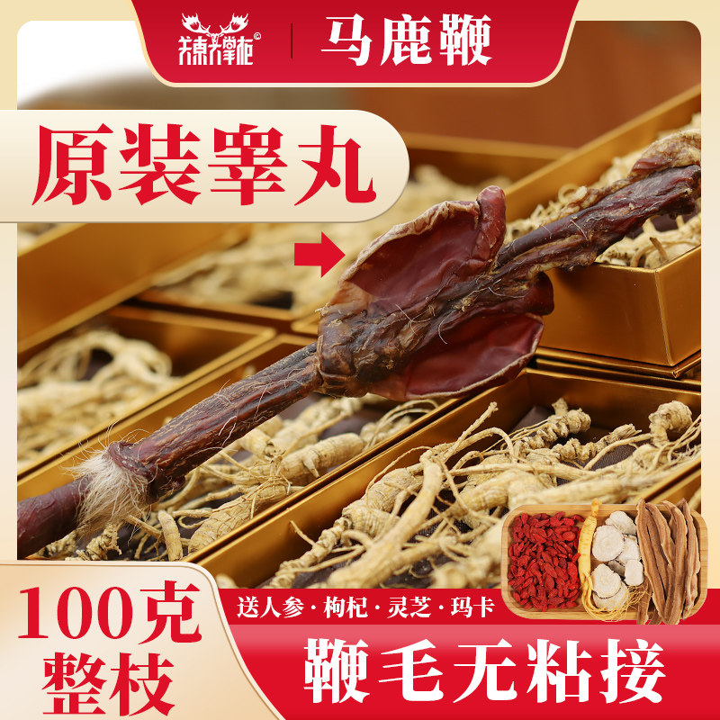 Guantong Taiwan Artificial breeding Northeast Ma Whip 100 grams of Bubble Wine Material Breeding Wine