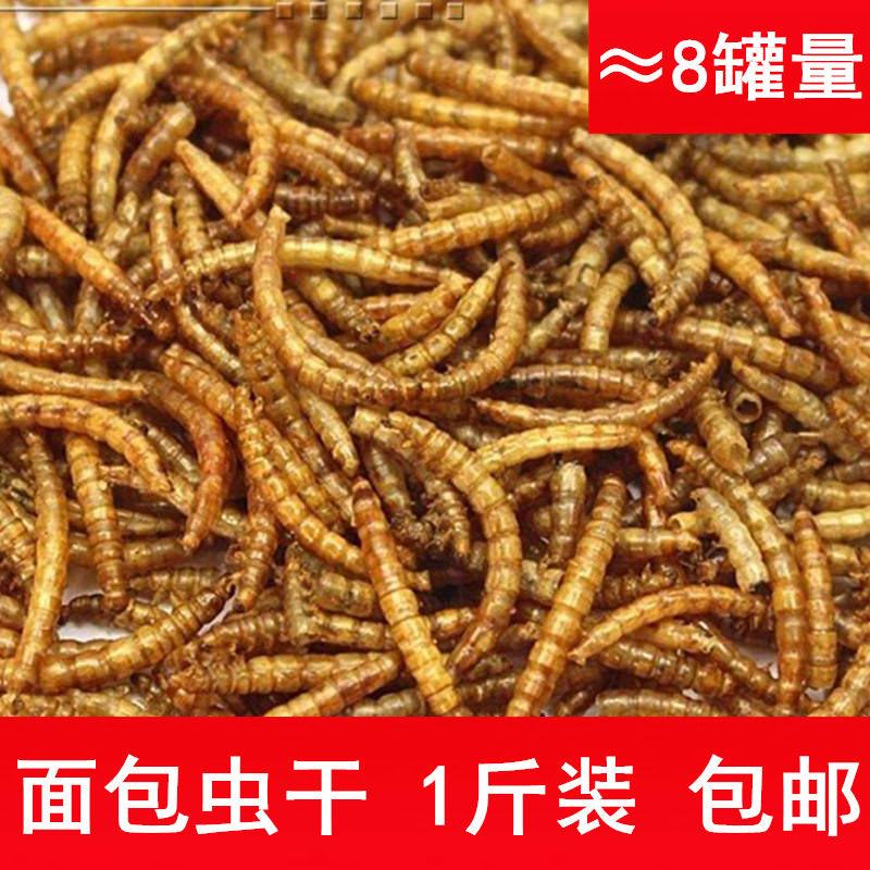  Bread worm dried yellow mealworm dried turtle food Turtle food fish food fish food Bird food Hamster food 500g a catty