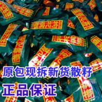 Wolfberry betel nut 50 30 loose seeds original package new goods now dismantled seeds Xiangtan shop Hunan betel nut
