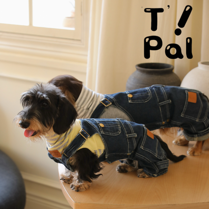 T-Pal Pet Washable Distressed Denim Overalls Retro Japanese Style Small and Medium-Sized Dog Dachshund Short-Legged Jeans T-Pal Pet Washable Distressed Denim Overalls Retro Japanese Style Small and Medium-Sized Dog Dachshund Short-Legged Jeans