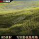 UE5 Unreal Realistic Grass Film and Television Grade Grassland Wind Blowing Grass Grass Material Material Scene