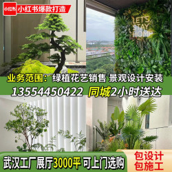 Wuhan City Simulated Green Plant Landscaping, Simulated Tree Green Plant Wall Decoration, Welcoming Pine Cactus Landscape Decoration