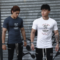 BLUESFLY sports T-shirt mens slim summer new muscle printing leisure training outdoor running shirt