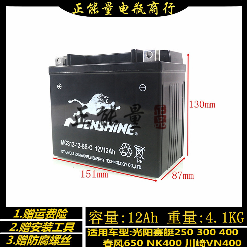 YTX12-BS is suitable for CB1000 VTR1000F PC800 VFR800 VFR800 Kawasaki ZZR400 battery battery
