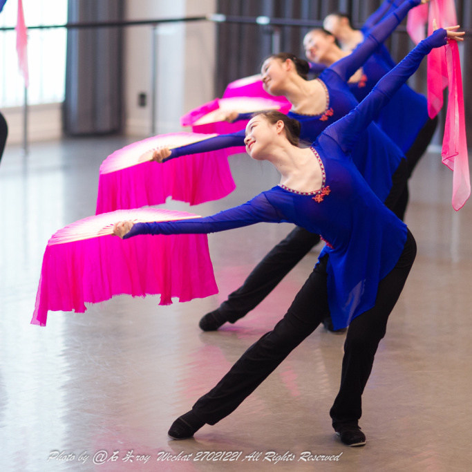 Yangko costumes classical dance practice clothes body rhyme gauze adult national dragon king fan performance dance clothes