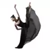 Ballet dance skirt Large skirt Modern classical dance skirt Yoga fairy temperament photo skirt Practice dance costume