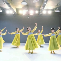 Желтые длинные рукава гибискуса + свободный головной убор + центр бровей + танцевальные туфли. Обратите внимание на размер и цвет обуви.