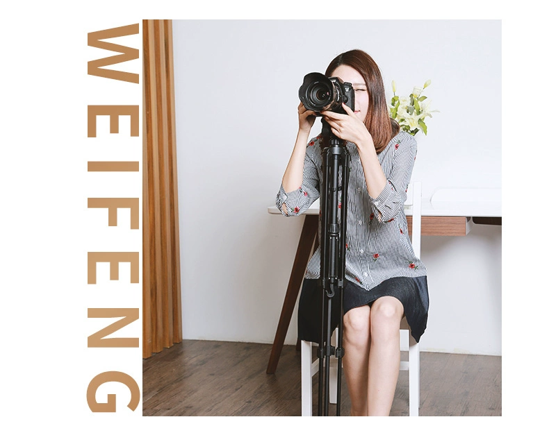 Weifeng 3520 Máy ảnh số SLR camera chân máy Nhiếp ảnh chân 1,4 mét di monopod vi - Phụ kiện máy ảnh DSLR / đơn