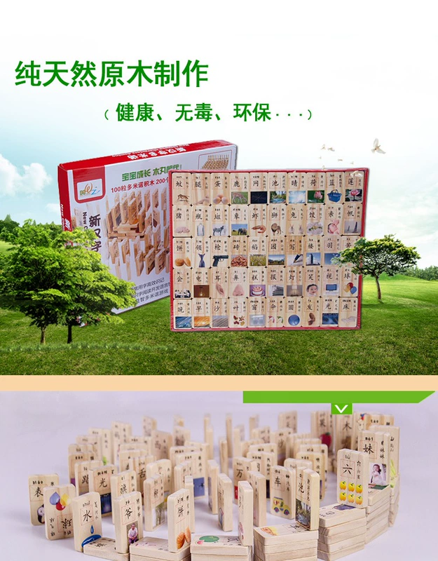 100 nhân vật mới của Trung Quốc Dominoes Bính âm biết học sớm Khối gỗ xây dựng cho trẻ em Đồ chơi giáo dục 12 bộ đồ chơi xếp hình lego