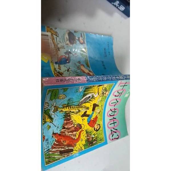 Authentic 90% New Books | Why 99999? for Preschool Children, Edited by Xia Feng; Illustrated by Gong Zhihuang, Lin Yongzhi, Xiamen University Press