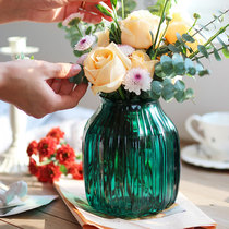 Colored vase Frosted Transparent Glass Vase Vase Living Room Hydroponic Aquatic Water Rich Bamboo Dry Vase