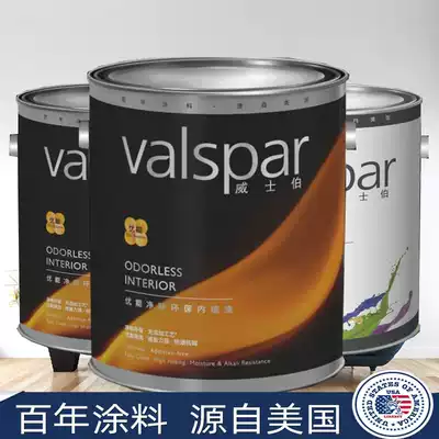 WISHU Neng clean taste environmentally friendly water-free indoor moisture-proof alkali latex interior wall paint VHEM401