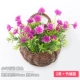 Little Lotus Purple 2 кровати (отправьте маленький баскетбол бамбука)