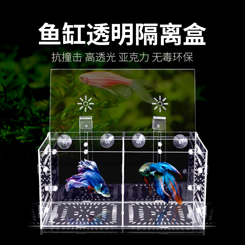 Fish tank isolation case acrylic combined transparent isolation of sick fish fighting fish isolators 1 g 2 Gg 3 g