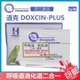 Голландский голубь Даук Респираторный пищеварительный тракт для предотвращения простуды, двух -одна пара продуктов для домашних животных.