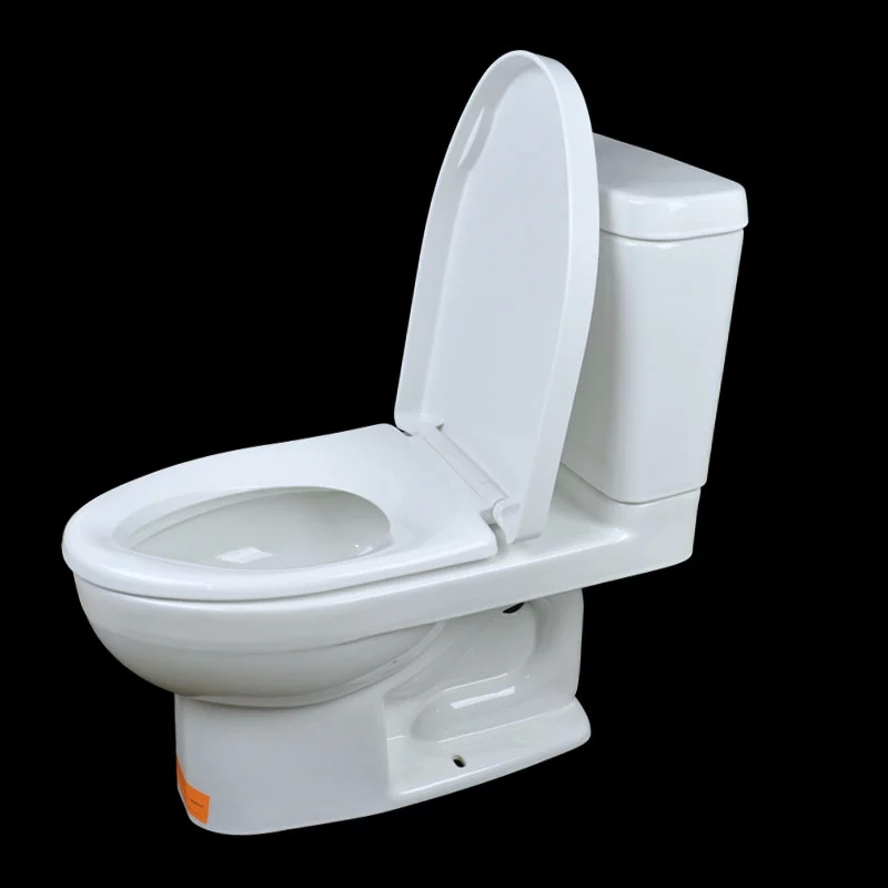 Koehler Toilet K-3834T-BS-0 Riqi Two-style Toilet with Rui Qi Slow Down Cover Plate Super Silent