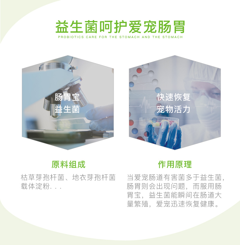 Thú cưng nhỏ EHD tiêu hóa chế phẩm sinh học chế phẩm sinh học đường ruột Công thức 10 gói mèo và chó điều hòa đường ruột - Cat / Dog Health bổ sung sữa cho chó 4 tháng tuổi