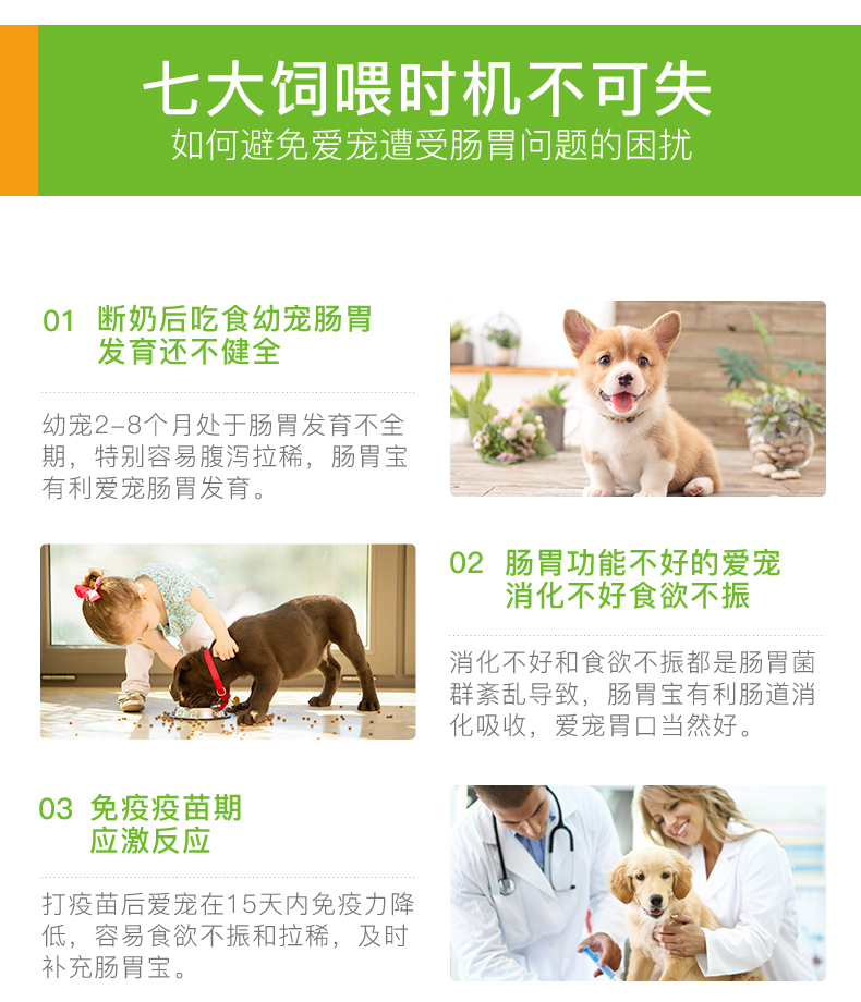Thú cưng nhỏ EHD tiêu hóa chế phẩm sinh học chế phẩm sinh học đường ruột Công thức 10 gói mèo và chó điều hòa đường ruột - Cat / Dog Health bổ sung sữa cho chó 4 tháng tuổi