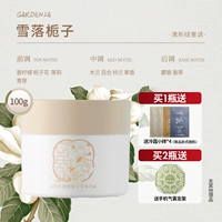 【Edition Cold Frost Art Edition】 Потерянный снежный сад 100G